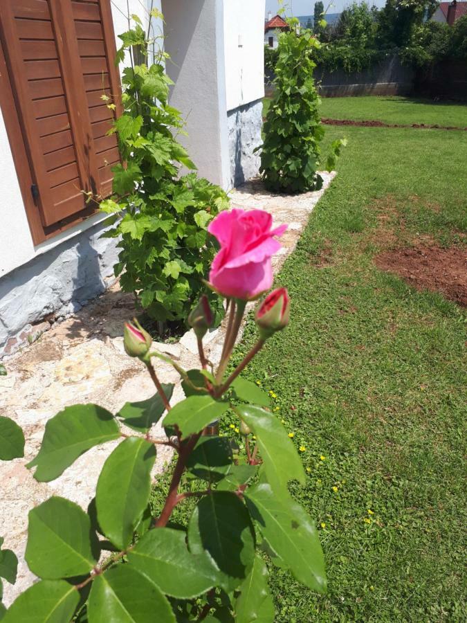Country House Balaton Paloznak Luaran gambar